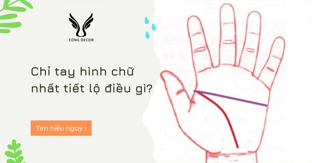 Chỉ tay hình chữ nhất tiết lộ điều gì? Có giàu không?