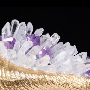 Ốc biển gắn đá thạch anh cao cấp CD45