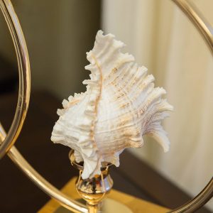 Decor ốc xà cừ trang trí CD137