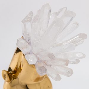 Đồ để bàn mô hình trừu tượng đầu ngựa trang trí CD171Đồ để bàn mô hình trừu tượng đầu ngựa trang trí CD171